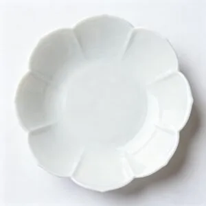 custom bone china dinnerwaer-shade