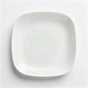 custom bone china dinnerwaer-shade