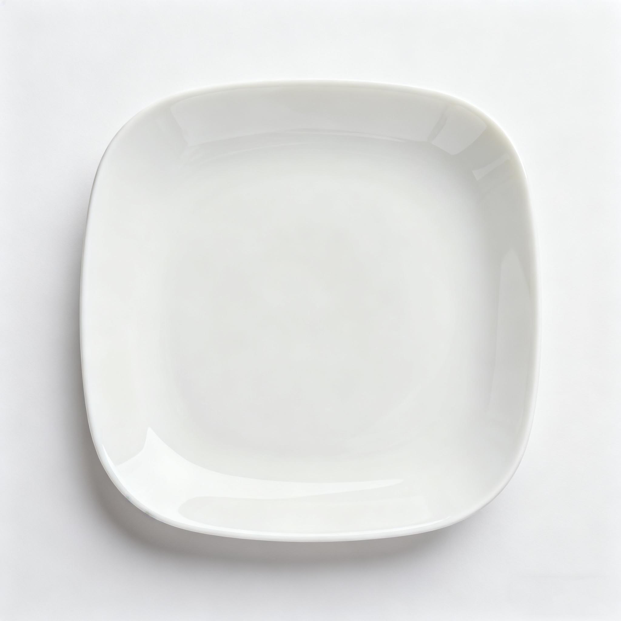 custom bone china dinnerwaer-shade