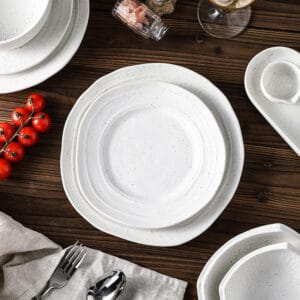 Japanese Speckled Matte White Stoneware Tableware Steak Dish Plate
