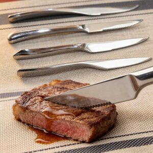 Mirror-Polished Stainless Steel Western Steak Knife Set