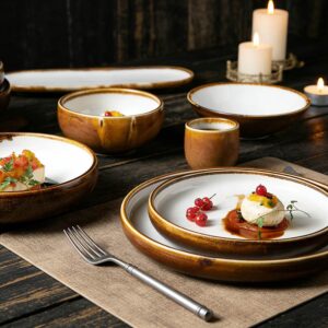Two-Tone Reactive Glaze Ceramic Dinnerware Set